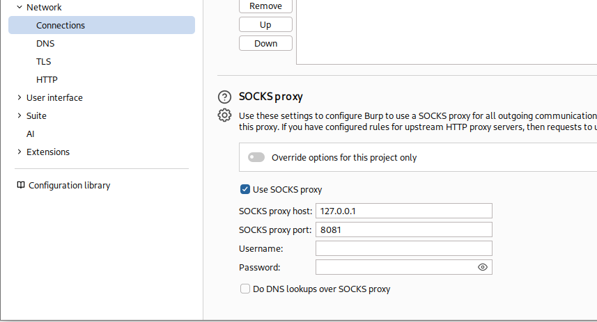 Browser or Burp proxy configuration