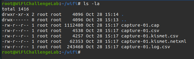 airodump-ng files